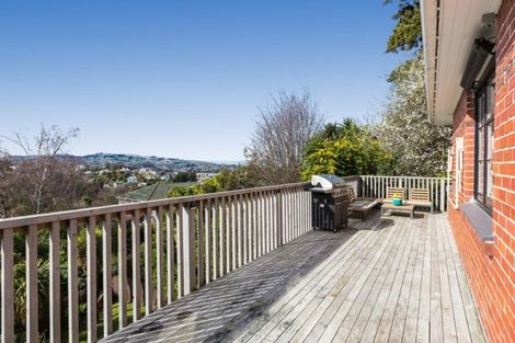 Photo of property in 115 Maryhill Terrace, Maryhill, Dunedin, 9011