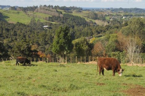Photo of property in 404 Tara Road, Mangawhai, Kaiwaka, 0573
