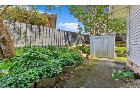 Photo of property in 249 Sunset Road, Sunnynook, Auckland, 0632