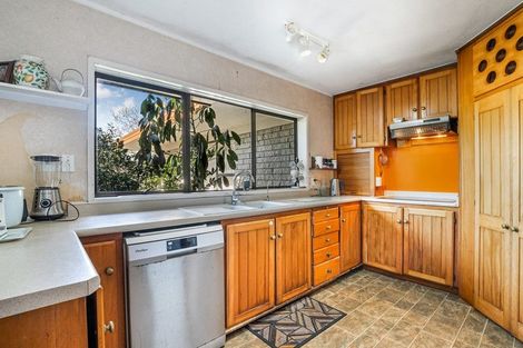 Photo of property in 107 Elliot Street, Pahurehure, Papakura, 2113