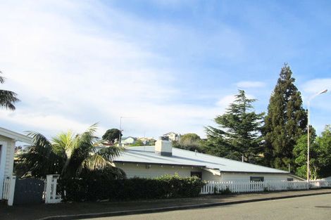 Photo of property in 25 Coleman Terrace, Hospital Hill, Napier, 4110