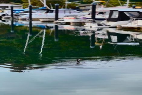 Photo of property in 20 Rangimoana Avenue, Motuoapa, Turangi, 3382