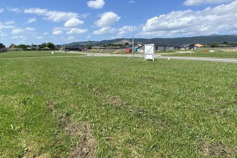 Photo of property in 53 Tainui Street, Levin, 5510