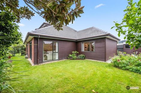 Photo of property in 1/96 Pretoria Street, Hutt Central, Lower Hutt, 5010