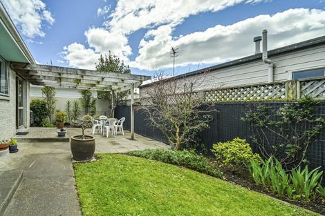 Photo of property in 220b Wolseley Street, Mayfair, Hastings, 4122