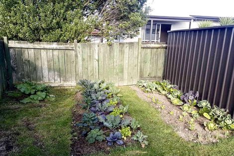 Photo of property in 371b Kahikatea Drive, Dinsdale, Hamilton, 3204