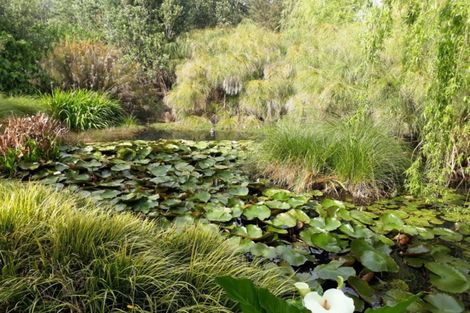 Photo of property in 384 Tara Road, Mangawhai, Kaiwaka, 0573