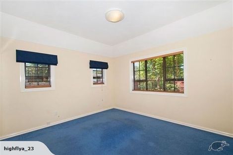 Photo of property in 217 Waterloo Road, Hutt Central, Lower Hutt, 5011
