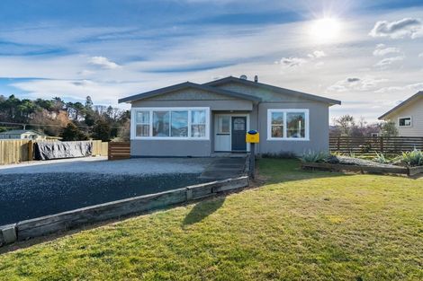 Photo of property in 43 Copinsha Street, Palmerston, 9430