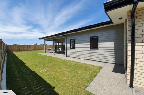 Photo of property in 39 Barry Curtis Place, Levin, 5510
