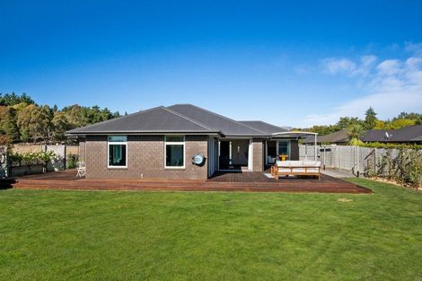 Photo of property in 141 Taylor Pass Road, Witherlea, Blenheim, 7201