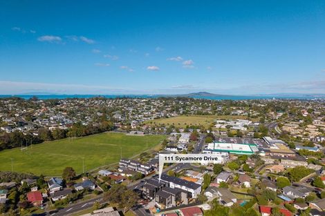 Photo of property in 111 Sycamore Drive, Sunnynook, Auckland, 0620