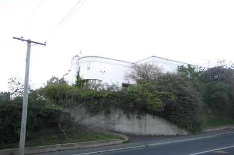 Photo of property in 58 Mailer Street, Mornington, Dunedin, 9011