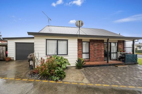 Photo of property in 14a Barnett Street, Putaruru, 3411