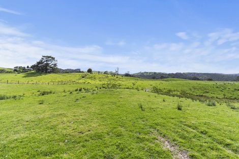 Photo of property in 132b Gatfield Road, Kaukapakapa, 0873