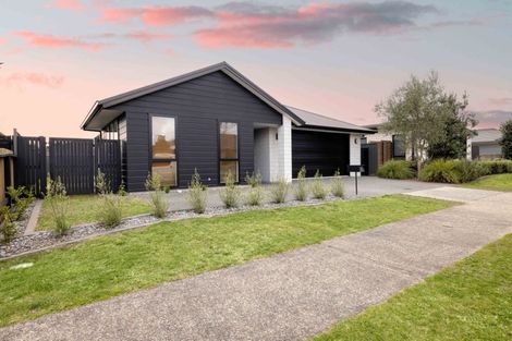 Photo of property in 11 Flack Street, Pyes Pa, Tauranga, 3112