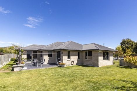 Photo of property in 223 Taylor Pass Road, Witherlea, Blenheim, 7201