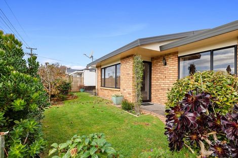 Photo of property in 17a Huatoki Street, Vogeltown, New Plymouth, 4310