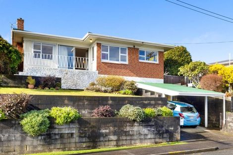 Photo of property in 44 Essex Street, Vogeltown, New Plymouth, 4310