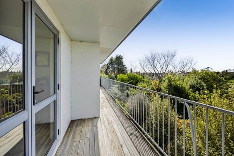 Photo of property in 217 Carrington Street, Vogeltown, New Plymouth, 4310
