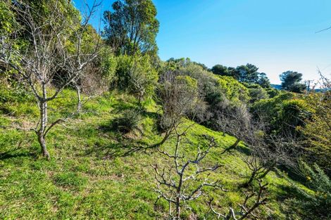 Photo of property in 810a Queen Charlotte Drive, Havelock, 7281