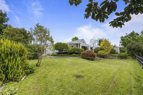 Photo of property in 15b Pearson Street, Mangawhai, 0505