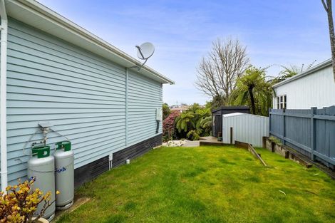 Photo of property in 43 Seyton Street, Stratford, 4332