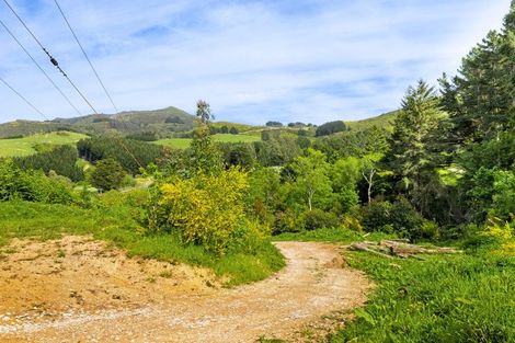 Photo of property in 110 Reservoir Road, Sawyers Bay, Port Chalmers, 9023