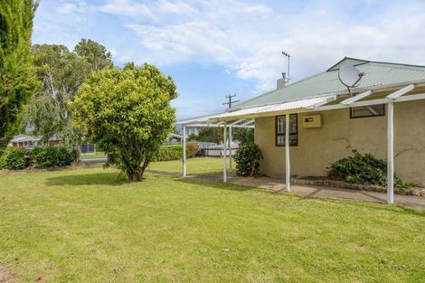 Photo of property in 191 Tiro Tiro Road, Levin, 5510