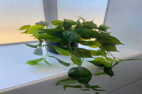 Photo of property in 44 Bevington Street, Avonhead, Christchurch, 8042