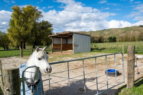 Photo of property in 25 Malcolm Road, Poukawa, Hastings, 4178