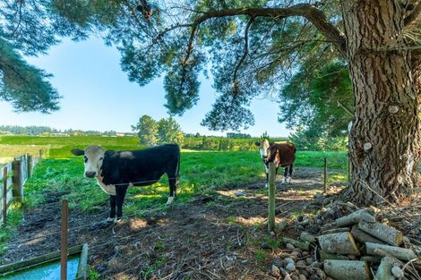 Photo of property in 193 Hadlow Road, Claremont, Timaru, 7974