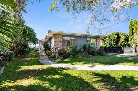 Photo of property in 224 Plummers Point Road, Whakamarama, Tauranga, 3172