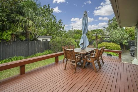 Photo of property in 21 Mchardy Street, Havelock North, 4130