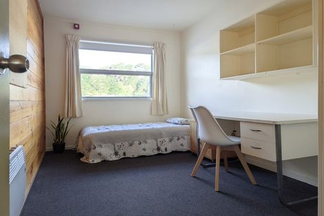 Photo of property in Drummond Street Flats, 15/19 Drummond Street, Mount Cook, Wellington, 6021