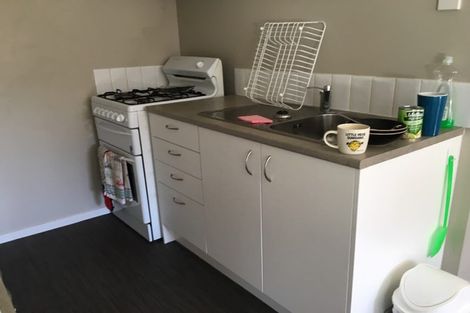 Photo of property in 58 Ascot Road, Chartwell, Hamilton, 3210