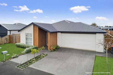 Photo of property in 17 Cork Street, Halswell, Christchurch, 8025