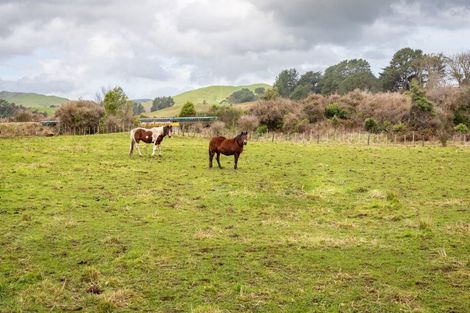 Photo of property in 100 Newman Road, Eketahuna, 4900