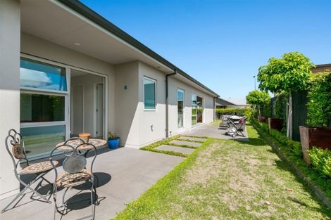 Photo of property in 14 Jacob Street, Brookfield, Tauranga, 3110