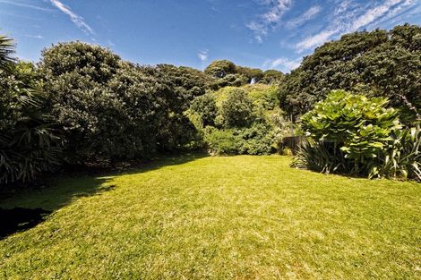 Photo of property in 113 Marine Parade North, Piha, 0772