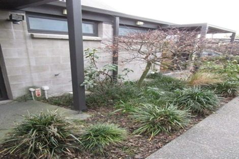 Photo of property in 2/435 Madras Street, St Albans, Christchurch, 8014