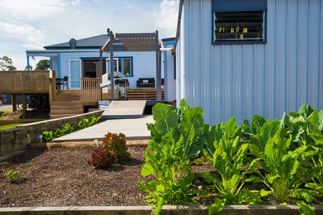 Photo of property in 256 Ormond Road, Mangapapa, Gisborne, 4010