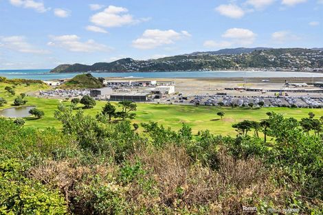 Photo of property in 46 Raukawa Street, Strathmore Park, Wellington, 6022