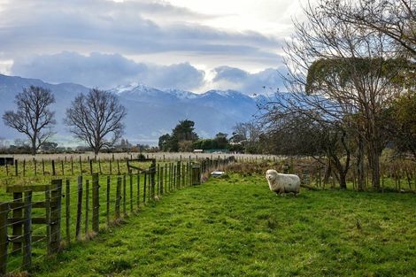 Photo of property in 9 Grays Lane, Kaikoura, 7300