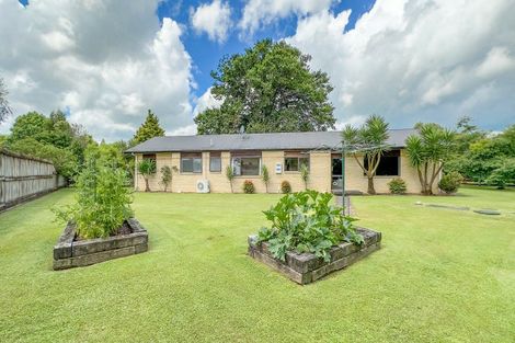 Photo of property in 392 Bellot Street, Pirongia, 3802