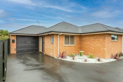 Photo of property in 20b Richill Street, Belfast, Christchurch, 8051