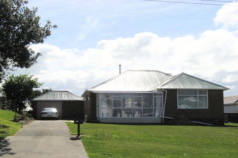 Photo of property in 46 Konini Street, Tawhero, Whanganui, 4501