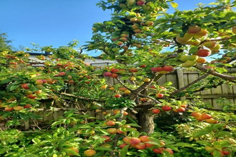 Photo of property in 150 Kings Road, Leithfield, 7481