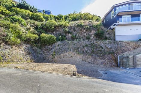 Photo of property in 14 Brasch Way, Kaiwharawhara, Wellington, 6035
