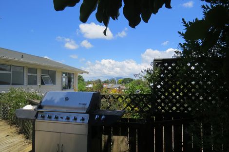 Photo of property in 90 Blundell Place, Te Awamutu, 3800